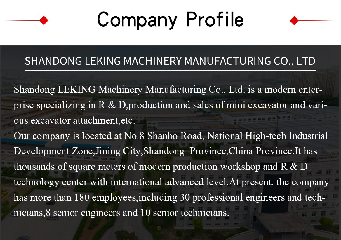 LEKING Off-road crane - Image 9